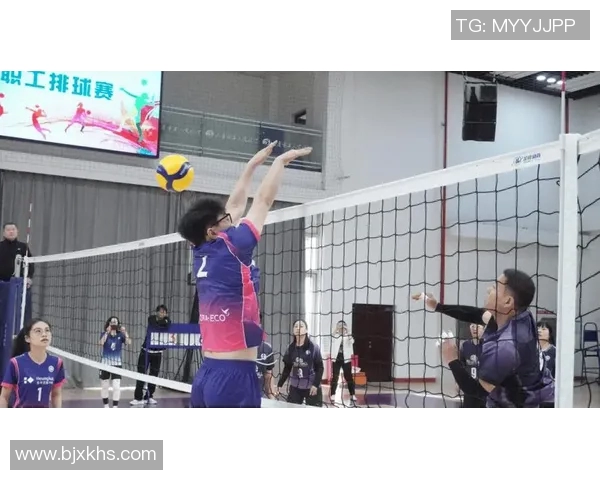 杭州排球队的阵地战揭秘：深度解析排球战术与团队协作