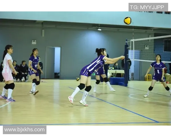 上海排球队技术创新引领全国排球新高度再创辉煌